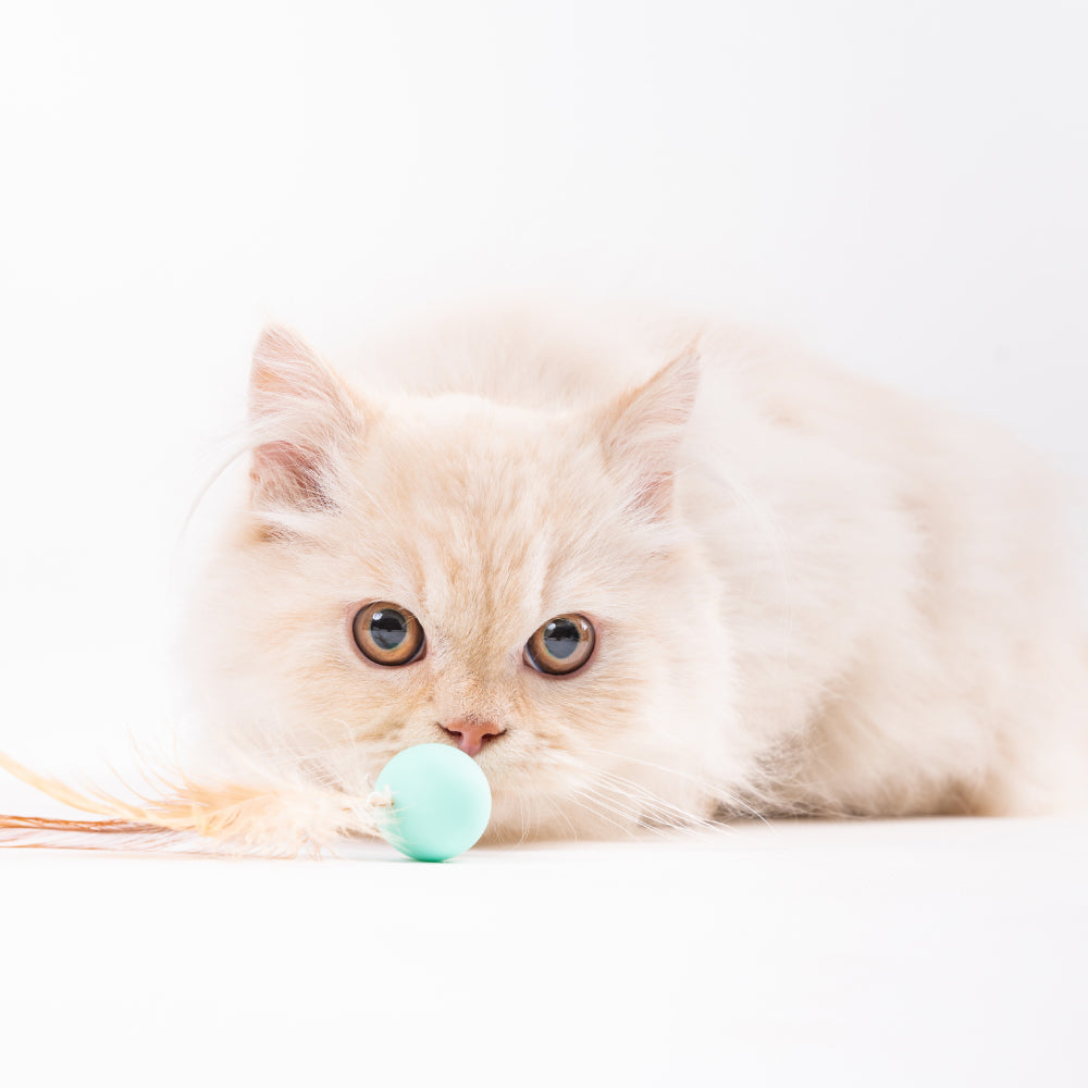 Bouncy Ball (3 PCS)