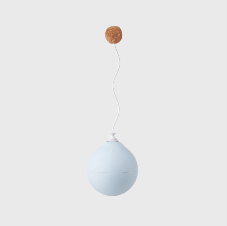 Cat's Toy Balloon