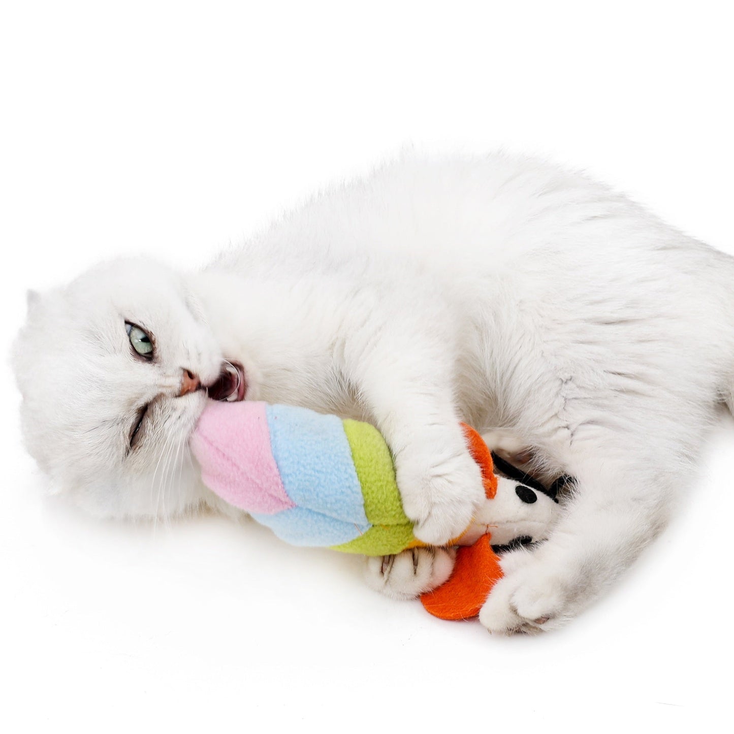 Rainbow Catnip Mouse