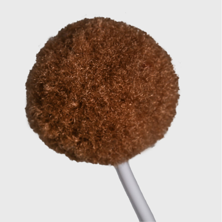 Cat's Toy Balloon