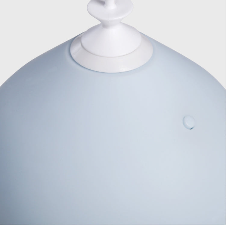 Cat's Toy Balloon