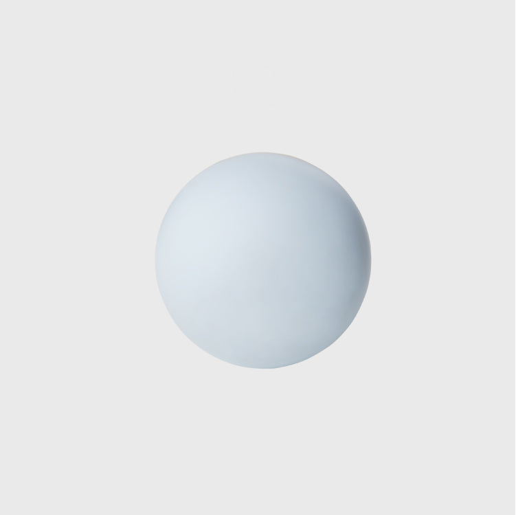 Cat's Toy Balloon