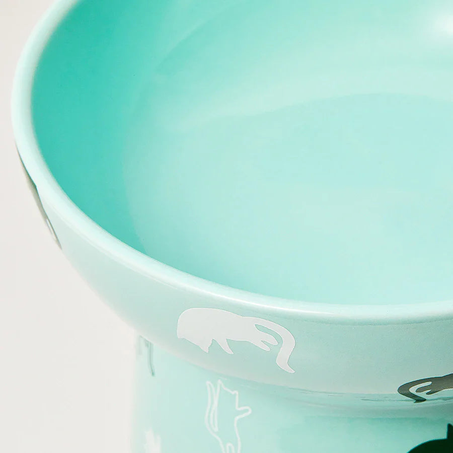 Japanese Style Ceramic Food Bowls for Cat and Dog (Large)