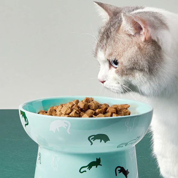 Japanese Style Ceramic Food Bowls for Cat and Dog (Large)