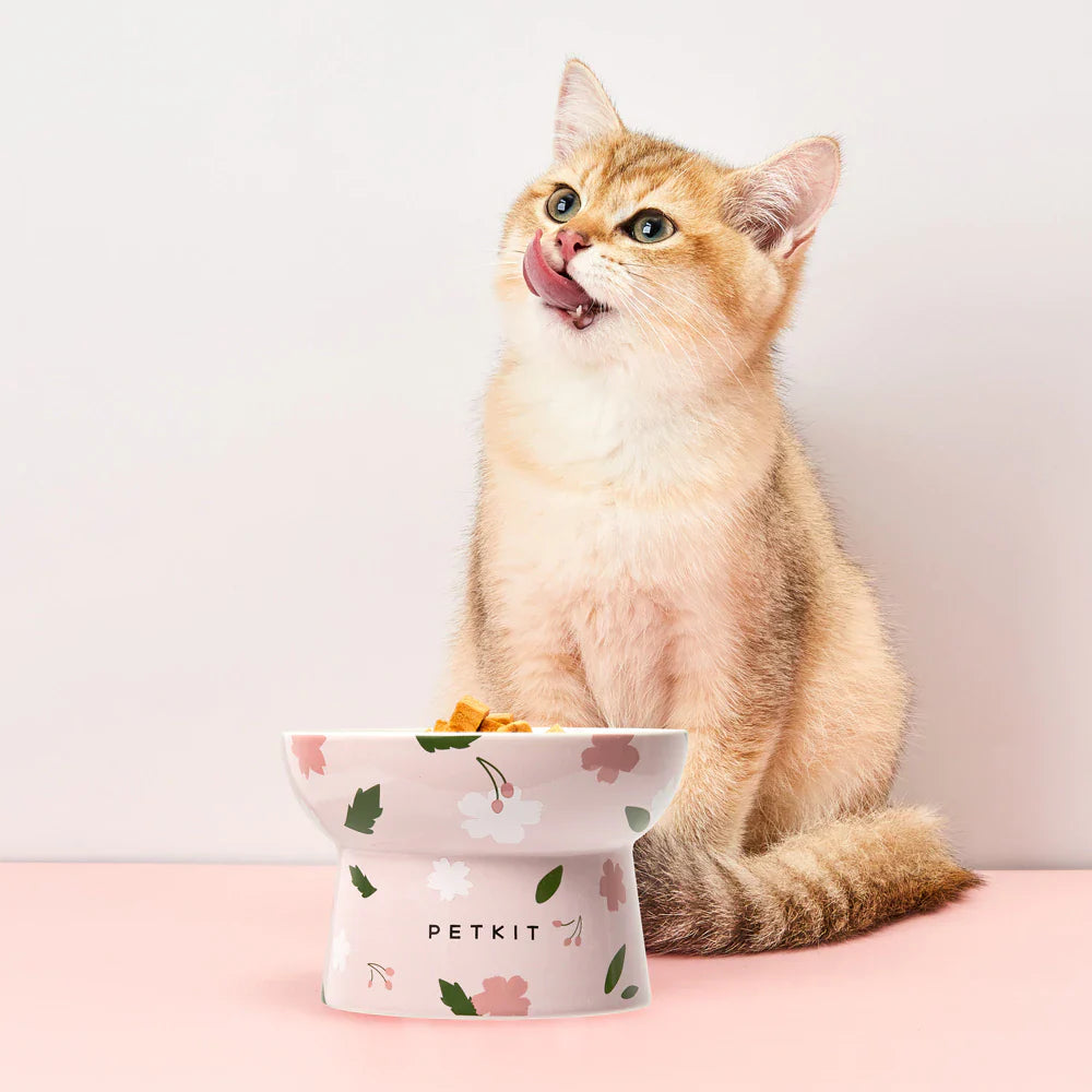 Japanese Style Ceramic Food Bowls for Cat and Dog (Large)