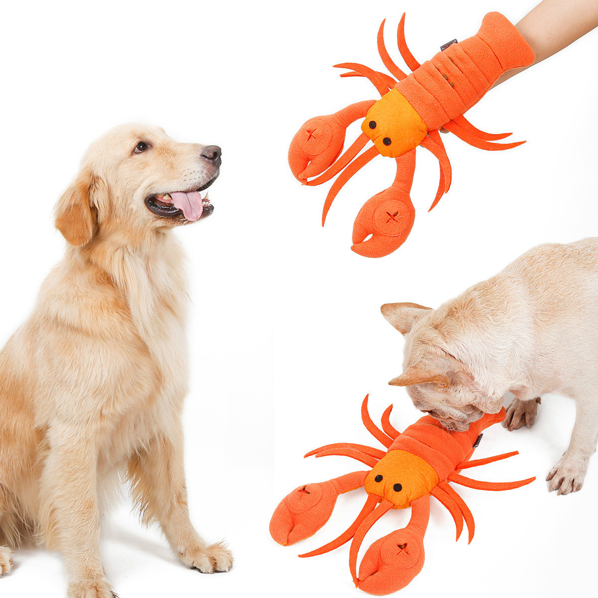 Dog Snuffle Toy Lobste