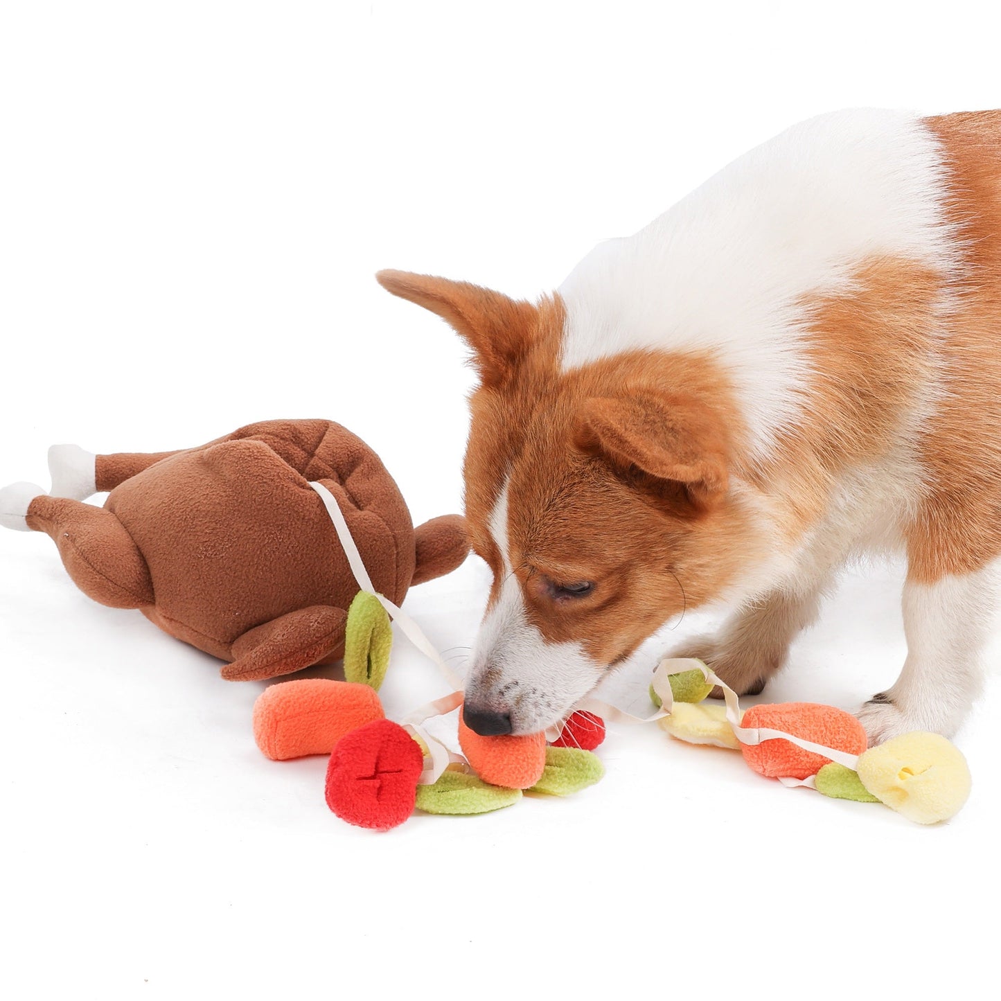 Fry Chicken IQ Dog Toy
