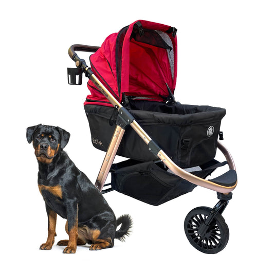 "Roma Performance Jogging Sports Stroller: The Perfect Companion for Active Small/Medium Dogs, Cats, and Pets up to 50lbs!"